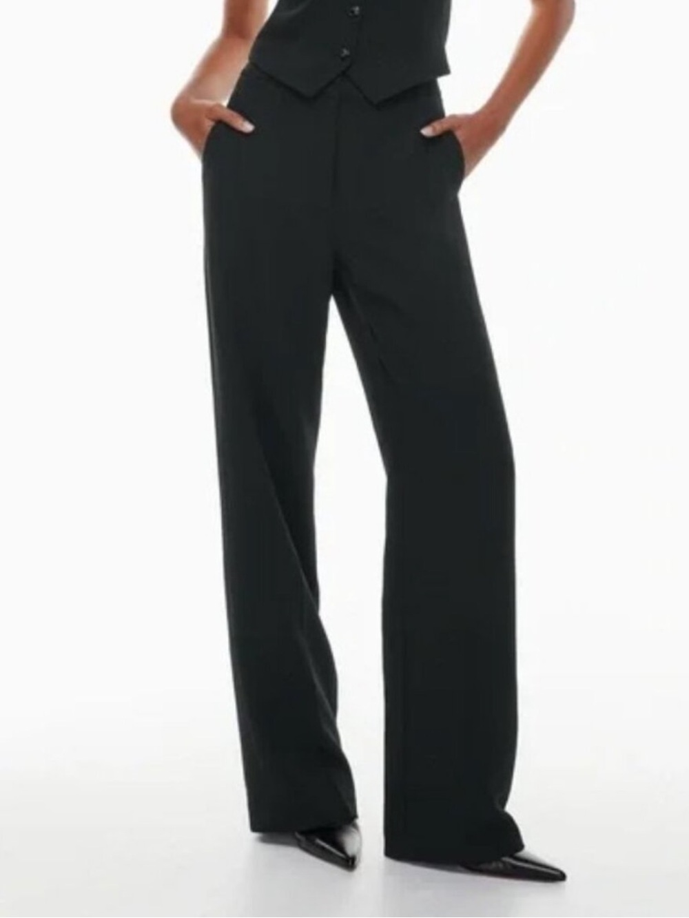 Aritzia Wilfred Alanya Wide Leg Trouser Pants Black Size 4 Office Quiet Luxury